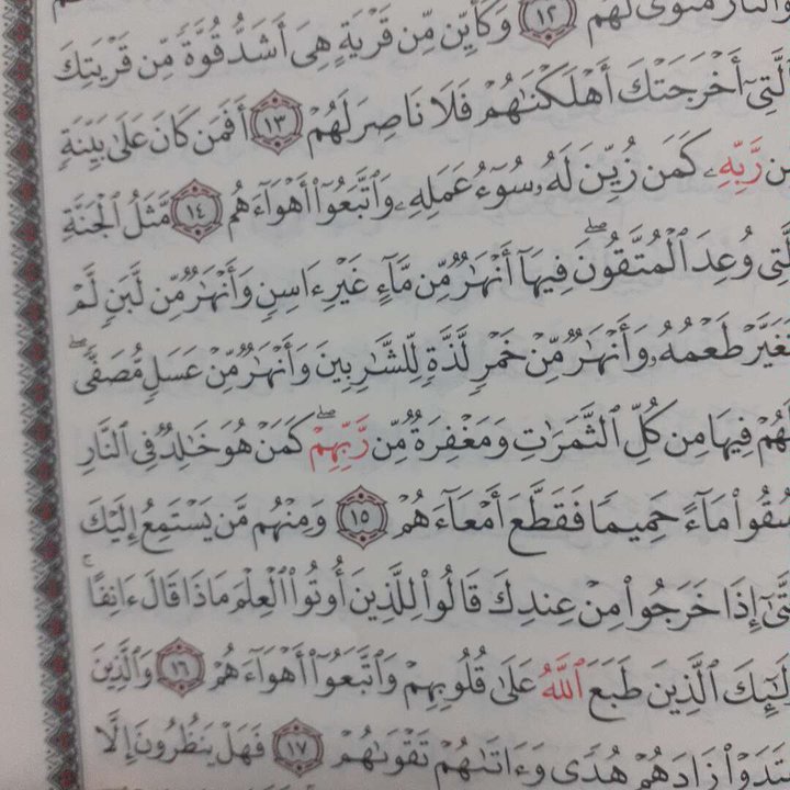مشاركاتي في أنت الراصد