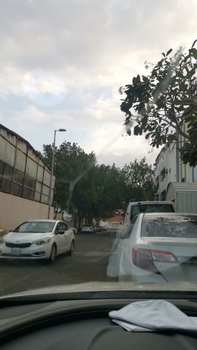 مشاركاتي في أنت الراصد