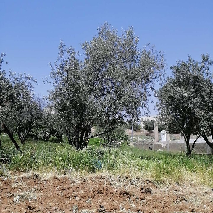 Mes publications Crowdsourcing