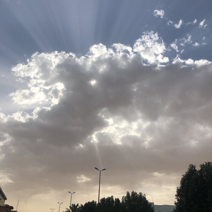 مشاركاتي في أنت الراصد