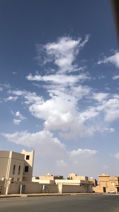 مشاركاتي في أنت الراصد