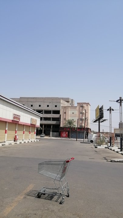 مشاركاتي في أنت الراصد