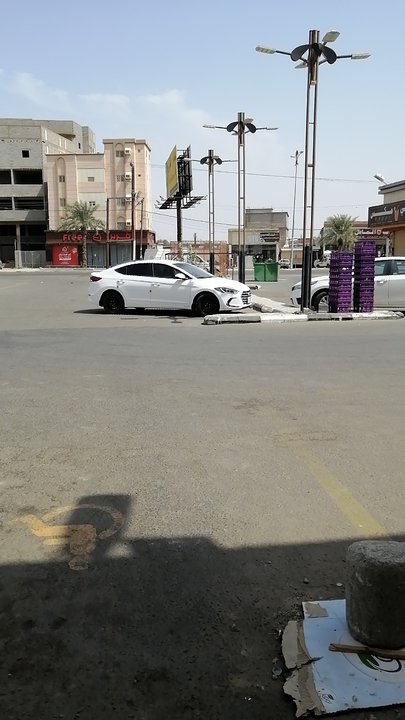 مشاركاتي في أنت الراصد