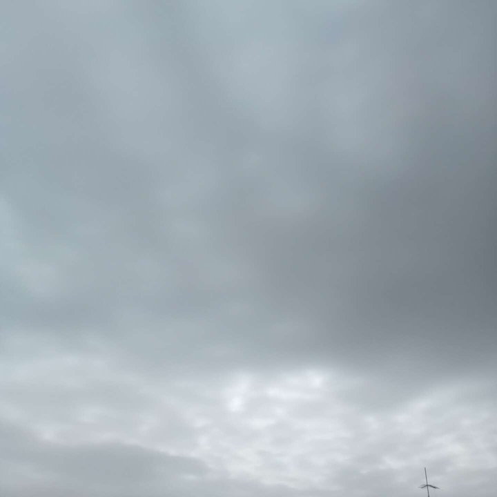 Mes publications Crowdsourcing