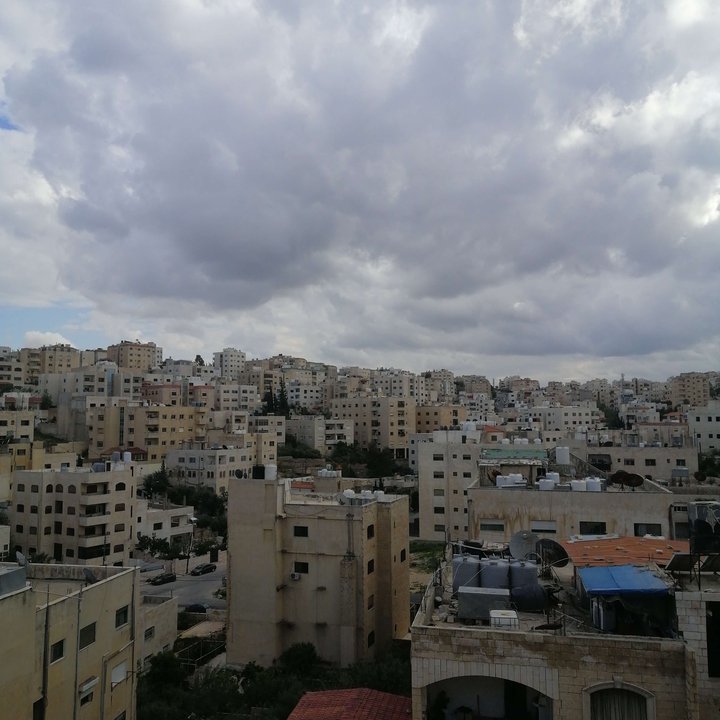 مشاركاتي في أنت الراصد