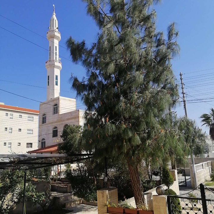 مشاركاتي في أنت الراصد