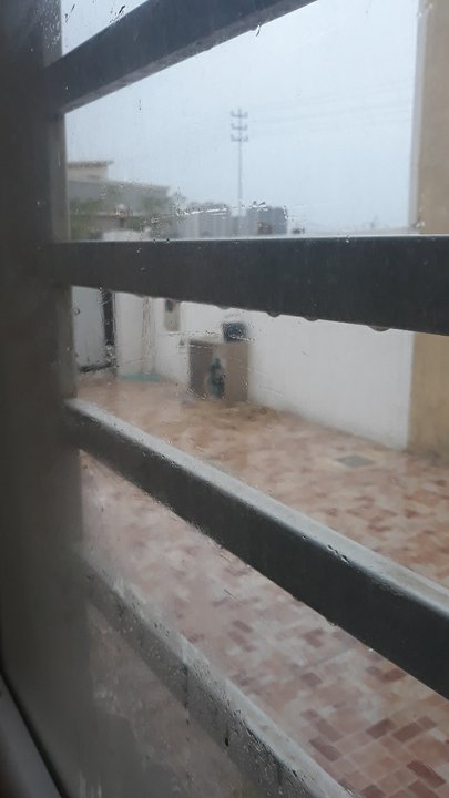 مشاركاتي في أنت الراصد