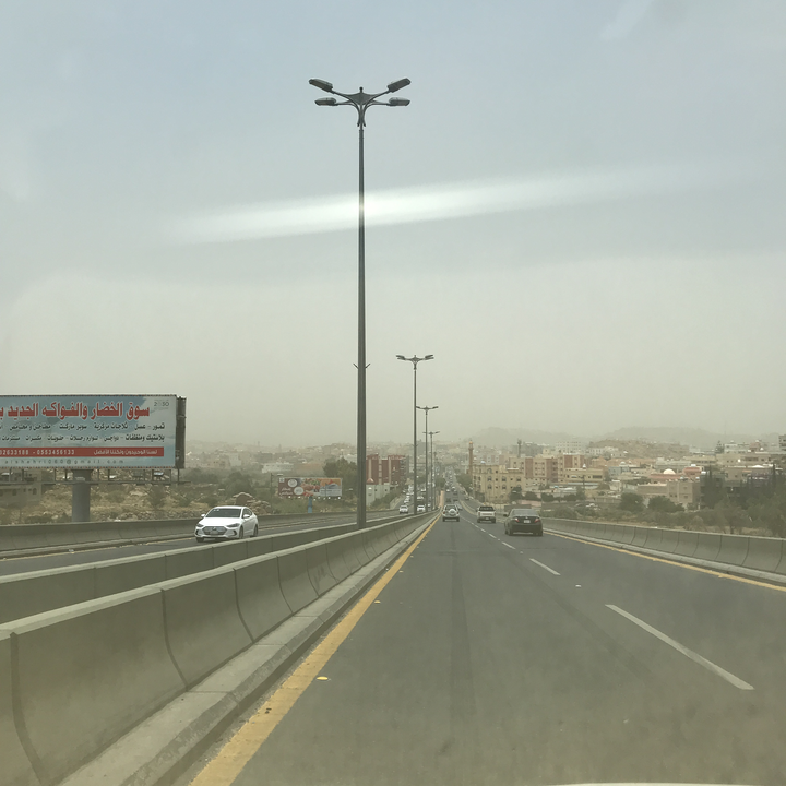 مشاركاتي في أنت الراصد