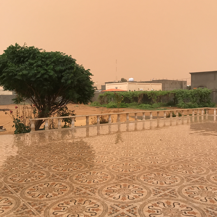 مشاركاتي في أنت الراصد