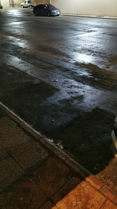 مشاركاتي في أنت الراصد