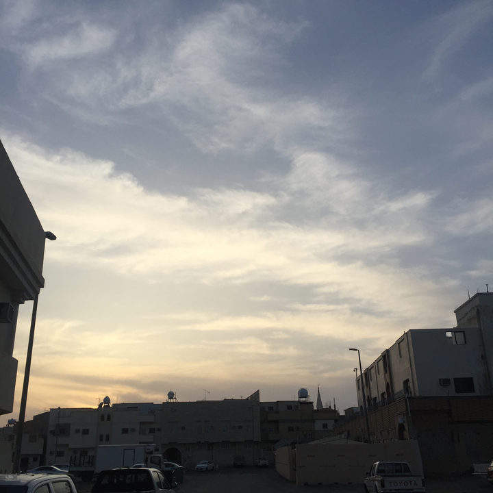 مشاركاتي في أنت الراصد