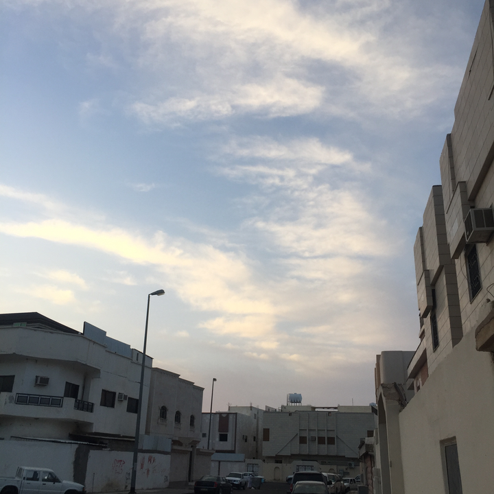 مشاركاتي في أنت الراصد