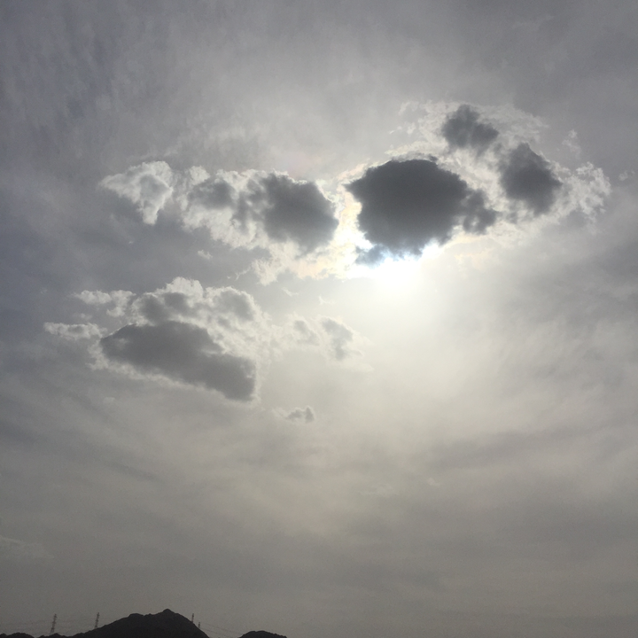 مشاركاتي في أنت الراصد