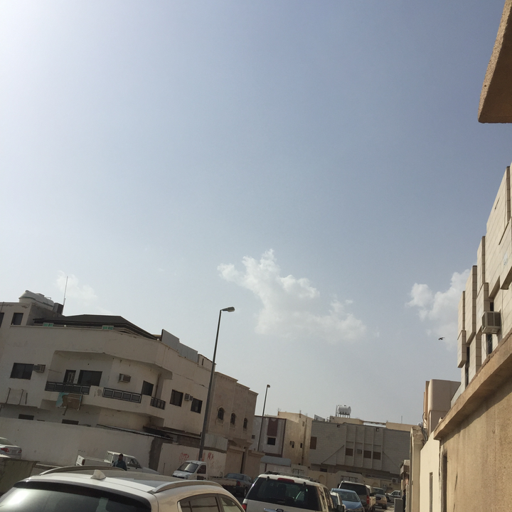 مشاركاتي في أنت الراصد