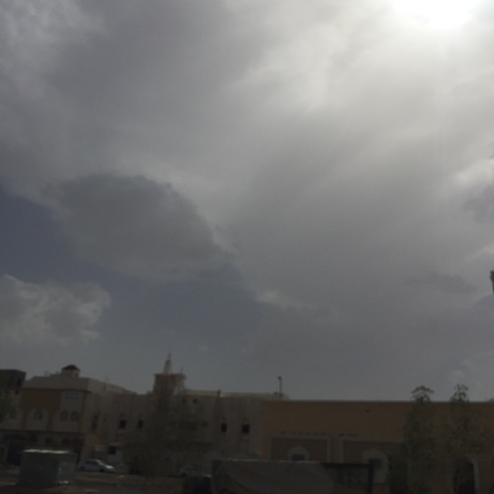 مشاركاتي في أنت الراصد