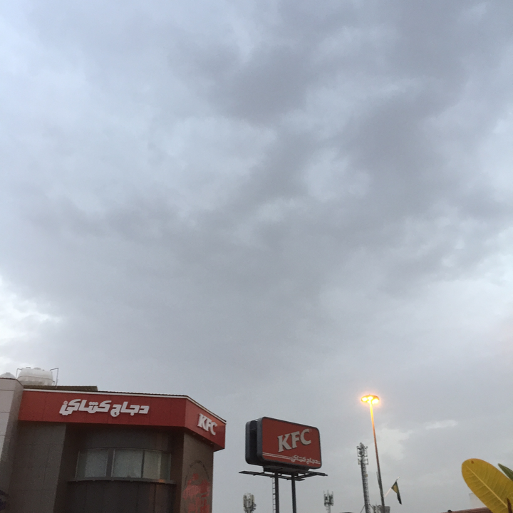 مشاركاتي في أنت الراصد