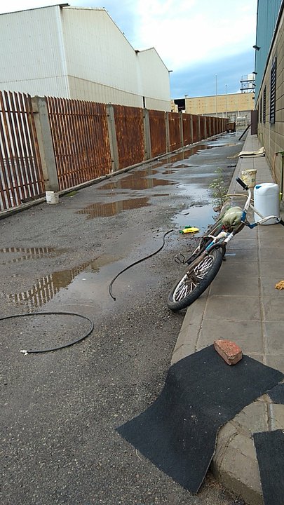 مشاركاتي في أنت الراصد