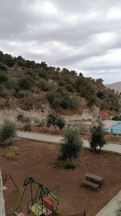 مشاركاتي في أنت الراصد