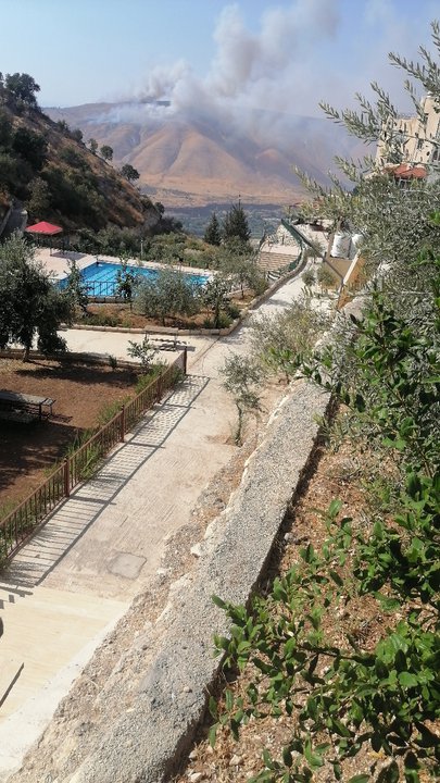 مشاركاتي في أنت الراصد