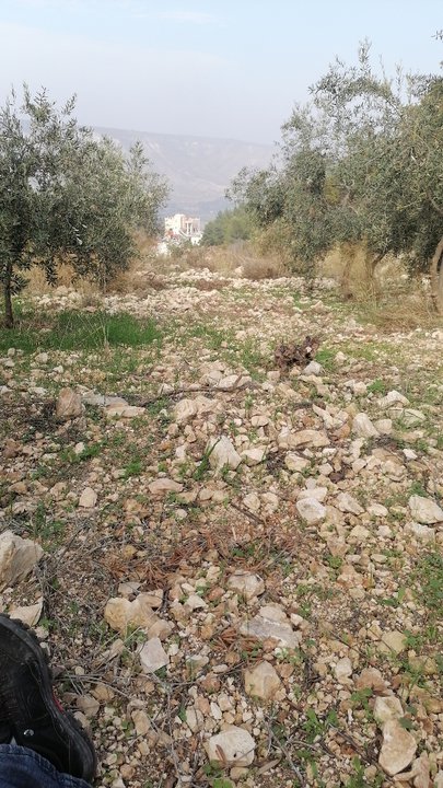 مشاركاتي في أنت الراصد