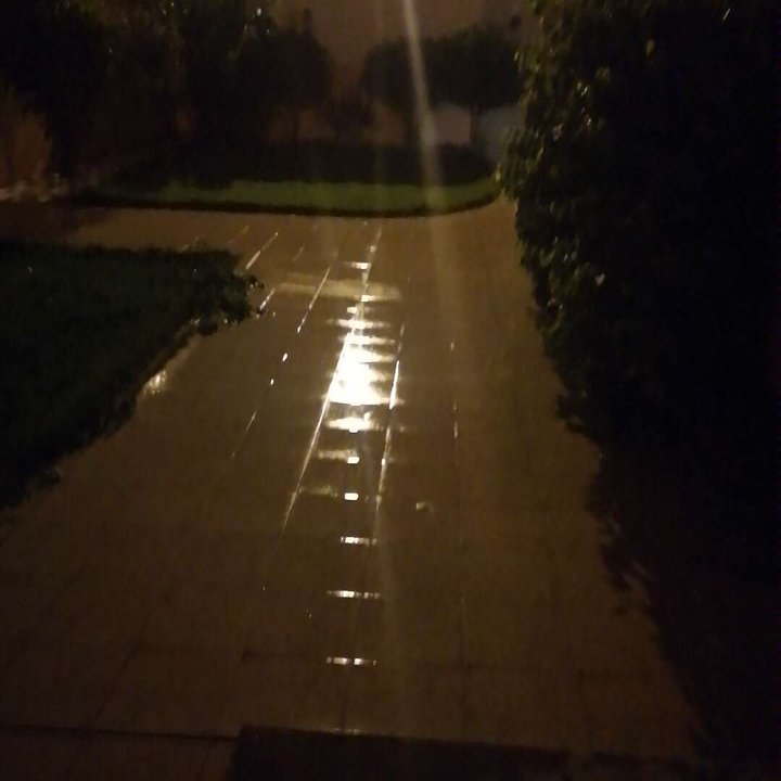 مشاركاتي في أنت الراصد