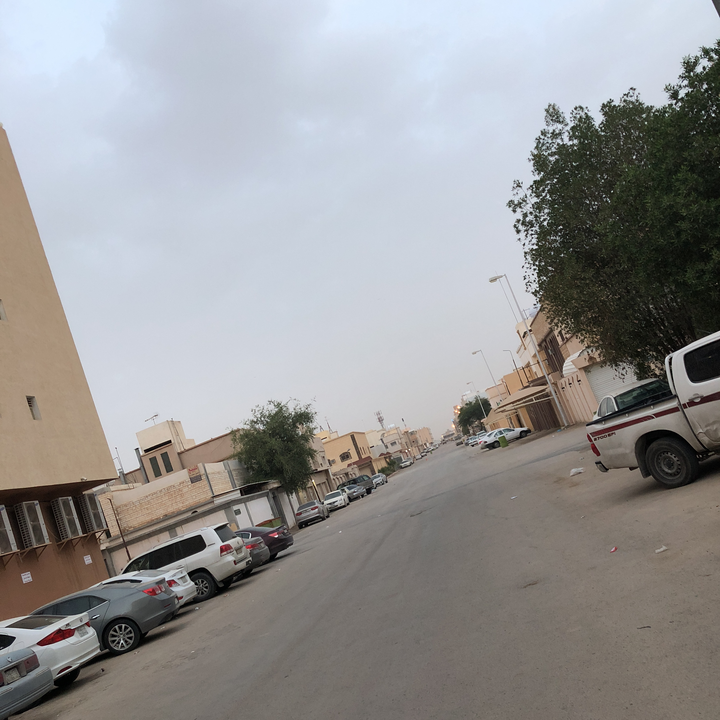 مشاركاتي في أنت الراصد