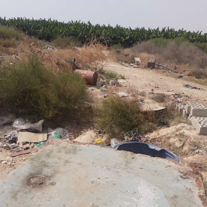 مشاركاتي في أنت الراصد