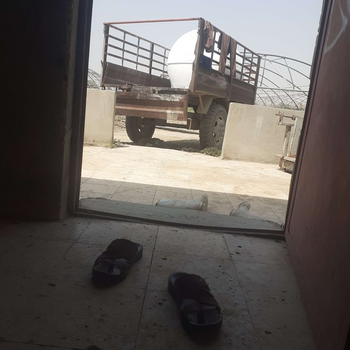 مشاركاتي في أنت الراصد