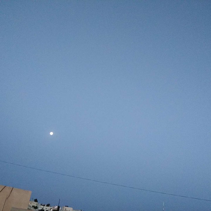 مشاركاتي في أنت الراصد