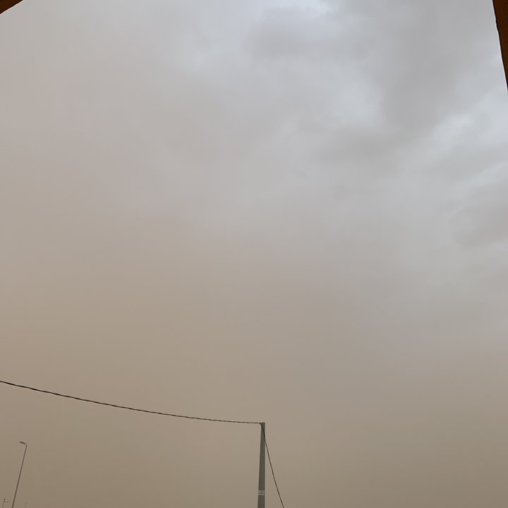 مشاركاتي في أنت الراصد