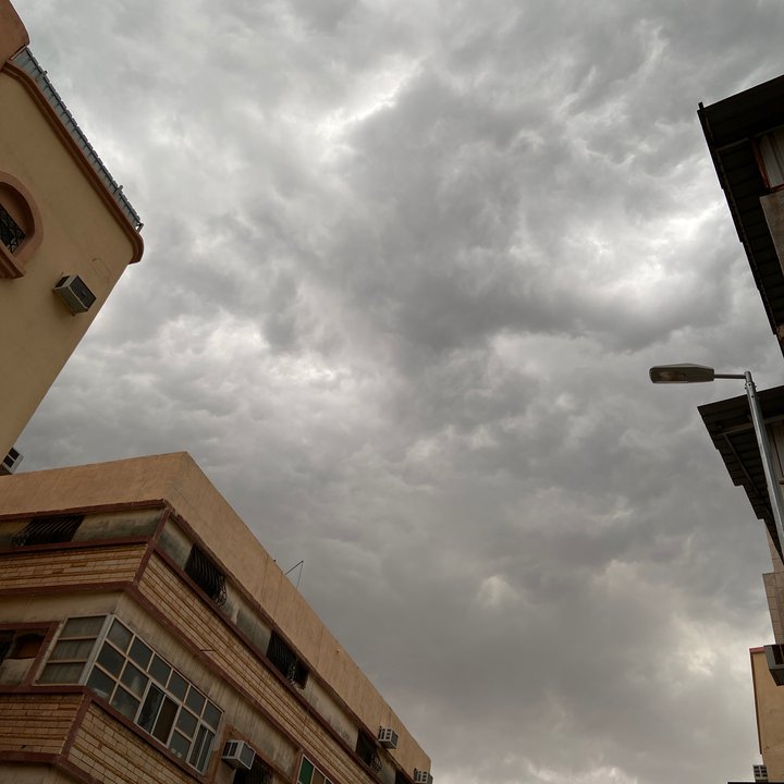 مشاركاتي في أنت الراصد