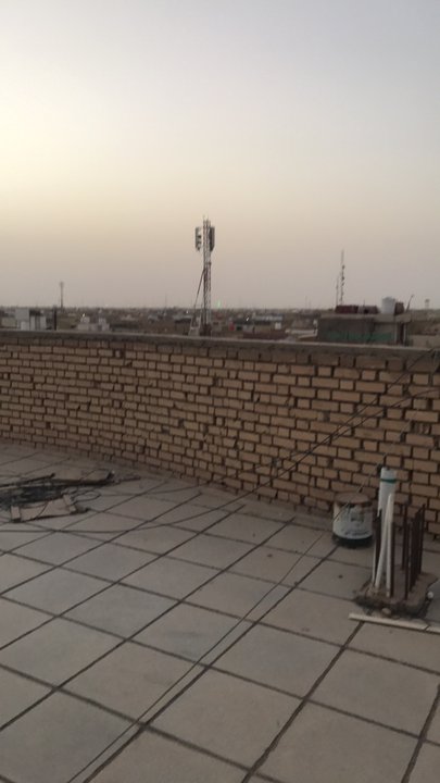 مشاركاتي في أنت الراصد