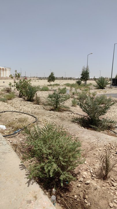 My Crowdsourcing Posts