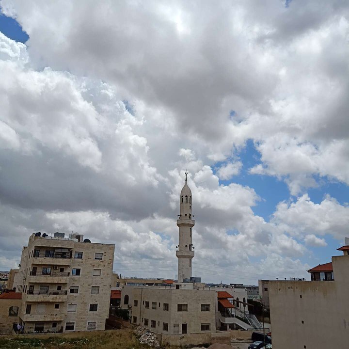 مشاركاتي في أنت الراصد