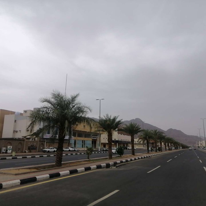 مشاركاتي في أنت الراصد