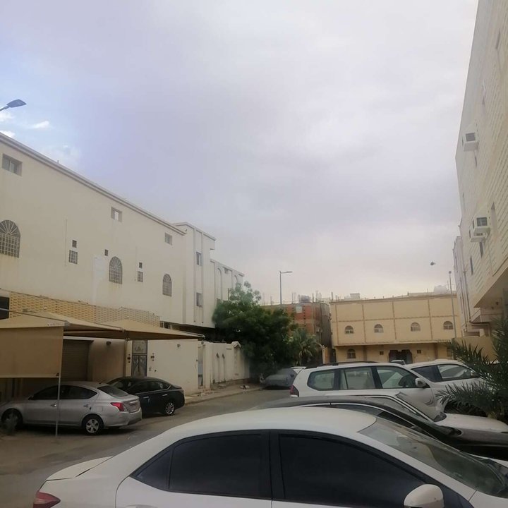 مشاركاتي في أنت الراصد