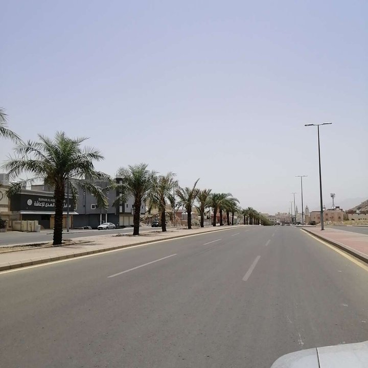 مشاركاتي في أنت الراصد