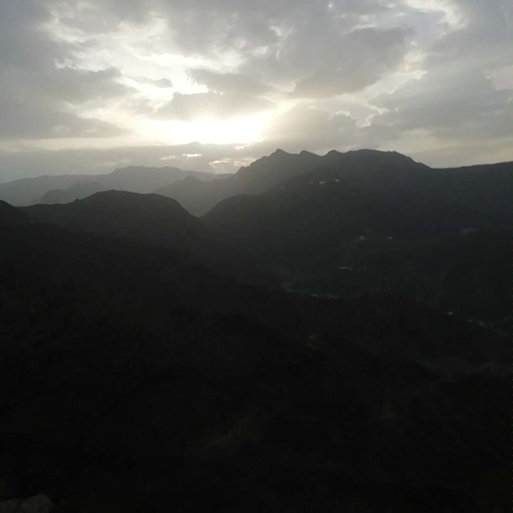 مشاركاتي في أنت الراصد