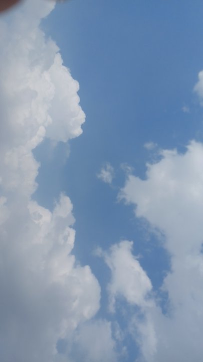 مشاركاتي في أنت الراصد