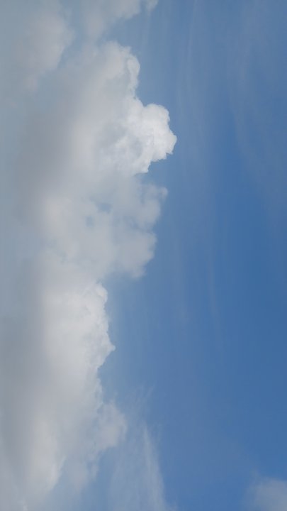 مشاركاتي في أنت الراصد