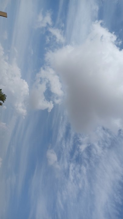 مشاركاتي في أنت الراصد