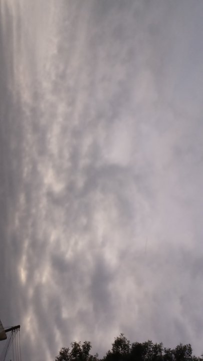 مشاركاتي في أنت الراصد