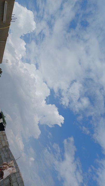 مشاركاتي في أنت الراصد