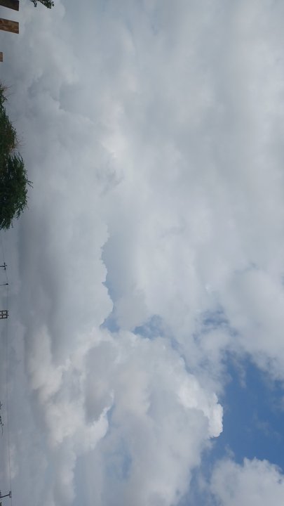 مشاركاتي في أنت الراصد