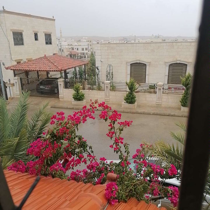 مشاركاتي في أنت الراصد