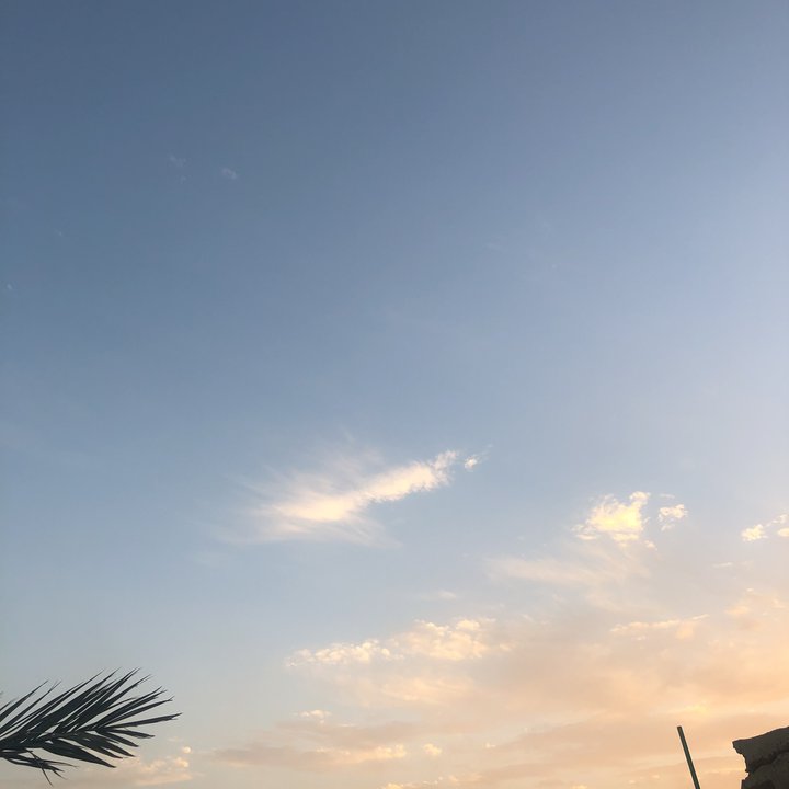 مشاركاتي في أنت الراصد