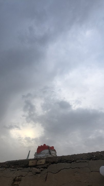 مشاركاتي في أنت الراصد