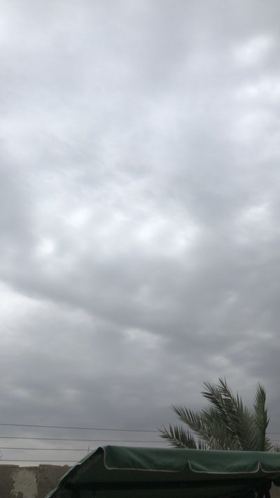 مشاركاتي في أنت الراصد