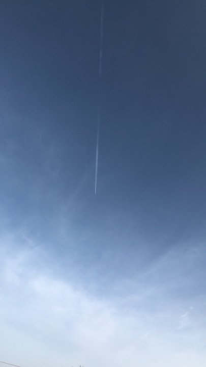 مشاركاتي في أنت الراصد