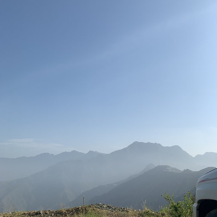 مشاركاتي في أنت الراصد